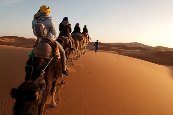 turistas en camello