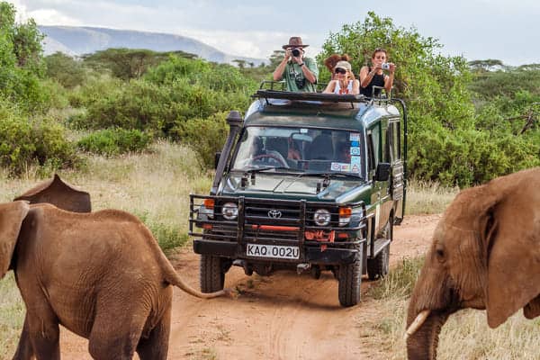 Safari en África