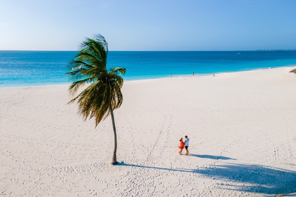 Vista aérea de una pareja tomada de la mano junto a una palmera en una playa blanca de Aruba con mar azul de fondo.