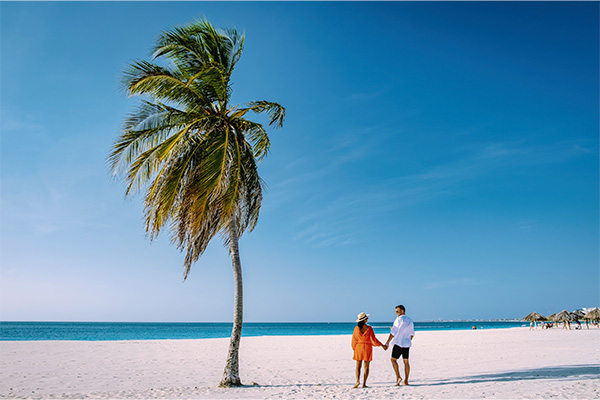 Una pareja feliz junto a una palmera en una playa en Aruba.