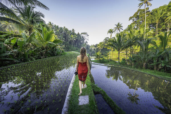 Mujer en la terraza de arroz Tegalalang en Bali.