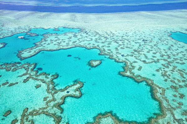 vista aérea de la Gran Barrera de Coral, Queensland Australia