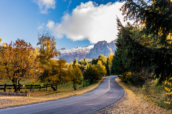 Paisaje Bariloche con arboles