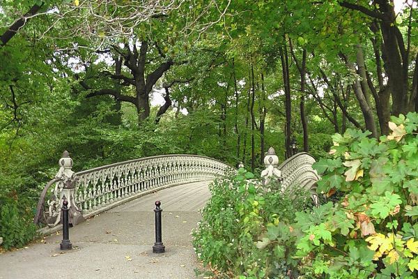 imagem de parte do central park, uma parada obrigatório de roteiro de viagem para nova york
                    