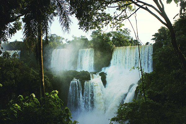 Foto de Iguazu Falls, com cachoeiras e vegetação fechada na argentina                  
