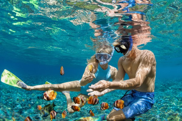Pareja nadando entre peces con equipo de snorkel