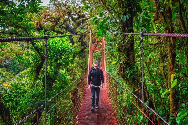 Hombre turista caminando por un puente colgante en el bosque nuboso de Monteverde, Costa Rica, mirando hacia arriba la densa vegetación