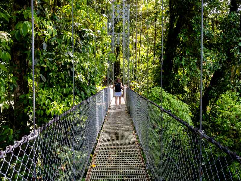 Turista caminhando por uma ponte suspensa em Monteverde cercada pela floresta nublada, durante uma experiência de observação da natureza na Costa Rica.