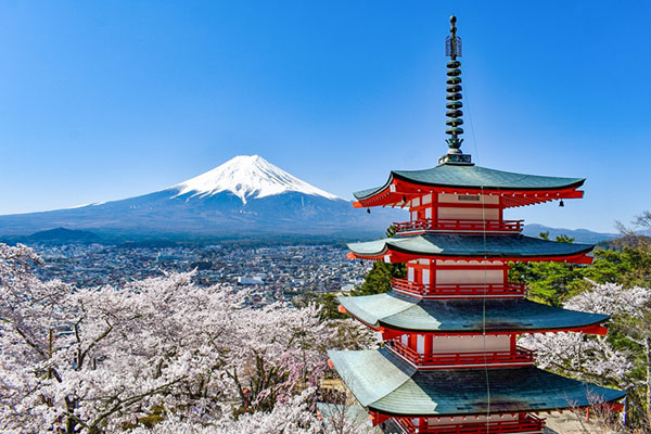 Flores de cerezo frente al Monte Fuji, Japón