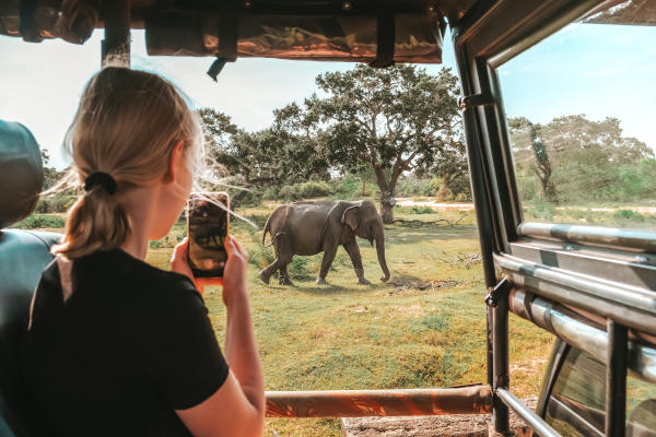 Mujer turista joven dentro de un vehículo de safari fotografiando con su smartphone a un elefante que está a unos metros de ella