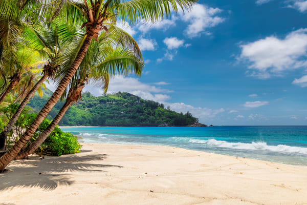 Playa de Mexico. 