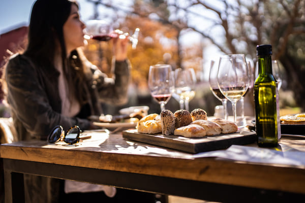 Cata de vinos en Mendoza