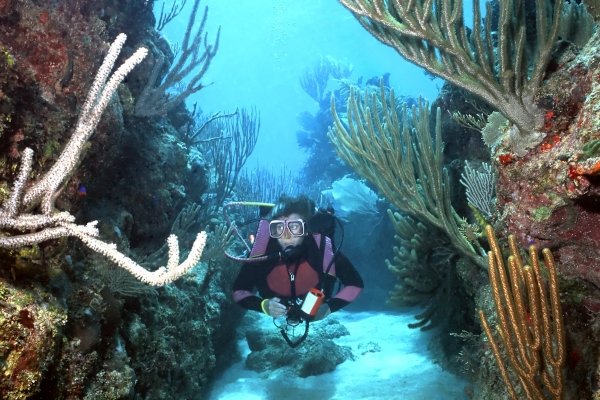 Mujer buceando a través de uno de los sistemas de espolones y surcos de coral en Roatán, Honduras.