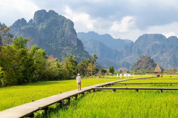 persona caminando por camino de madera en campo de arroz verde en Vang Vieng, Laos.
