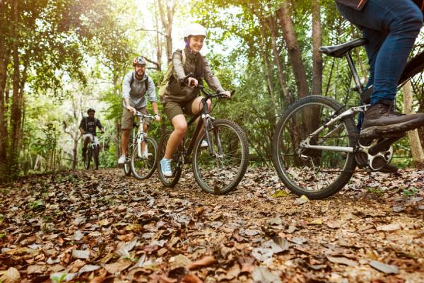 grupo fazendo cicloturismo em floresta