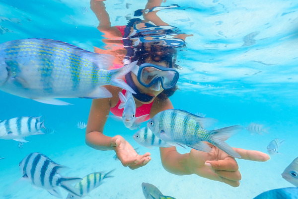 Mujer turista nadando con peces en aguas cristalinas y poco profundas, con máscara y tubo de snorkel.