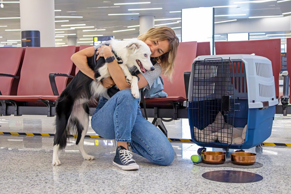 Requisitos para viajar con mascotas en avión