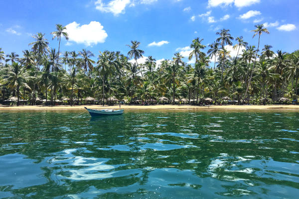 Chegada à Playa Medina, na Venezuela, com praia tropical de águas cristalinas e palmeiras.