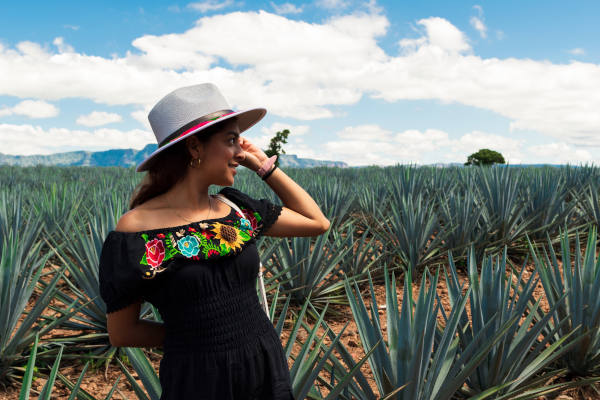 Mujer turista con sombrero en un campo de agave en Tequila, México.