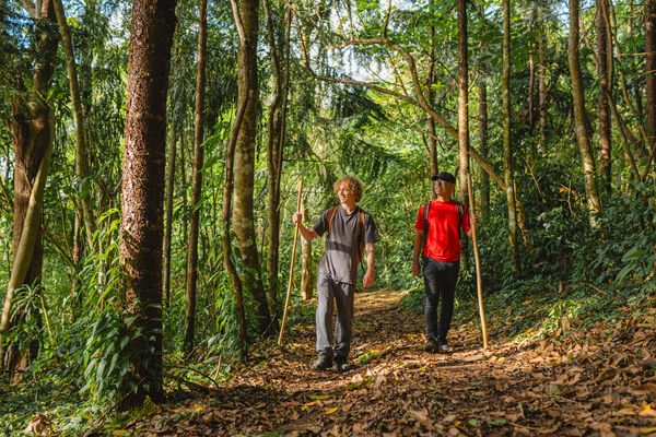 Dos hombres jóvenes caminando con bastones improvisados en un trekking por una selva tropical en Costa Rica.