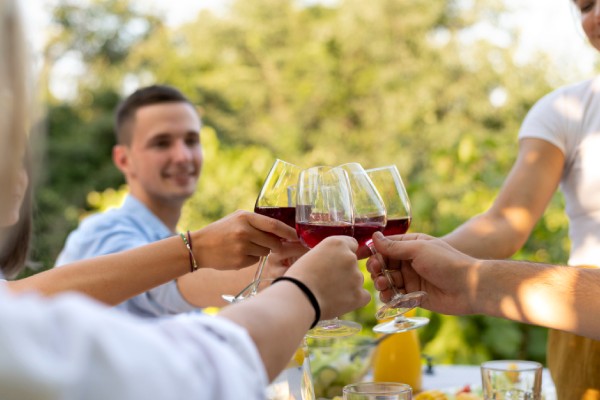 Imagem de pessoas brindando com vinho durante um passeio em vinícola