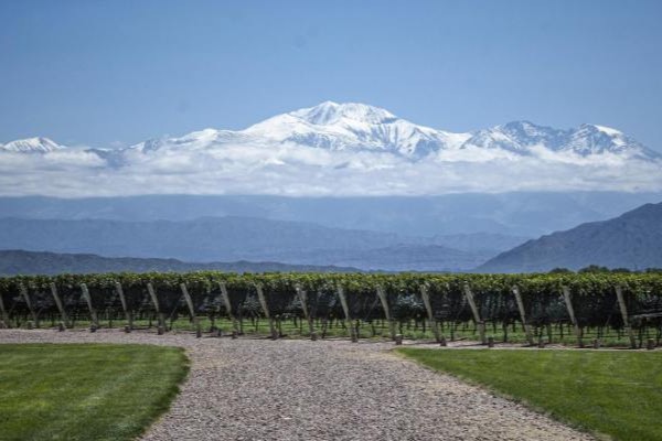 Viña del Valle del Maipo, Santiago de Chile, con la cordillera en el fondo.