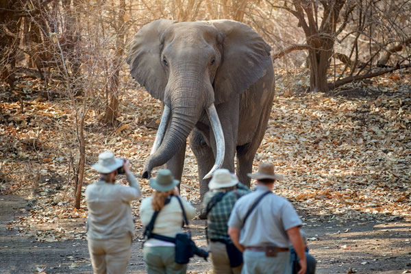 Viaje a Sudáfrica desde España: requisitos, consejos y destinos recomendados