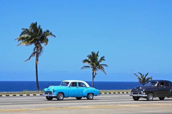 Típicos coches viejos de La Habana, Cuba, circulando por una autopista con palmeras y el mar de fondo.