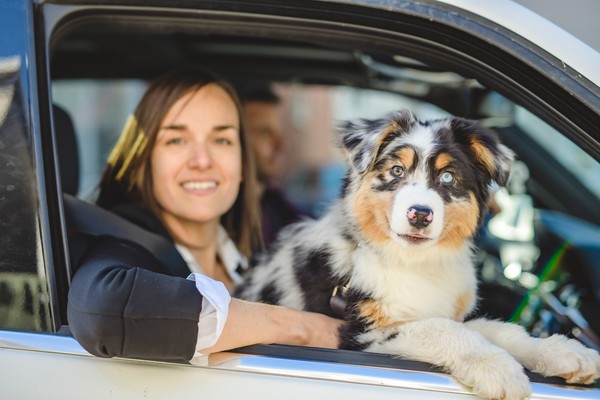 Mujer en el asiento de copiloto de un auto con un perro en el regazo, asomando por la ventanilla, con expresión tranquila.