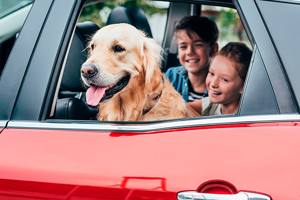 Perro en el asiento trasero de un auto junto con niños sonrientes