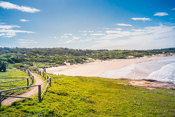 Vista de la Playa la Moza, Rocha