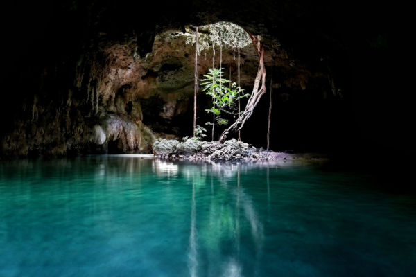 Vista interior de un cenote en Tulum con agua cristalina y vegetación colgante.