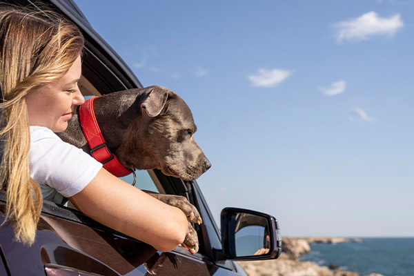 Mujer viajando en auto con su perro