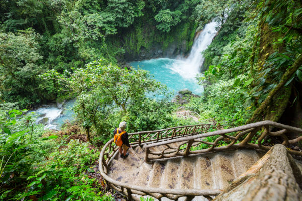 Turista bajando una escalera de madera en medio de la selva hacia una cascada en Costa Rica, rodeada de vegetación tropical.
