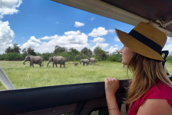 Mujer dentro de un vehículo haciendo un safari por Sudáfrica, viendo elefantes por la ventanilla.