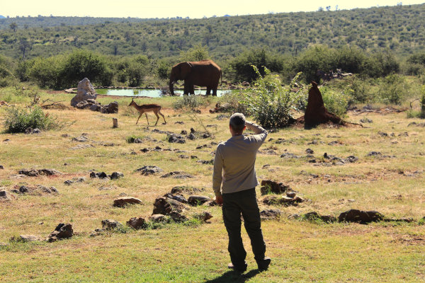 Hombre viendo un elefante solitario tomando agua en la Reserva Madikwe, Sudáfrica, al rayo del sol.