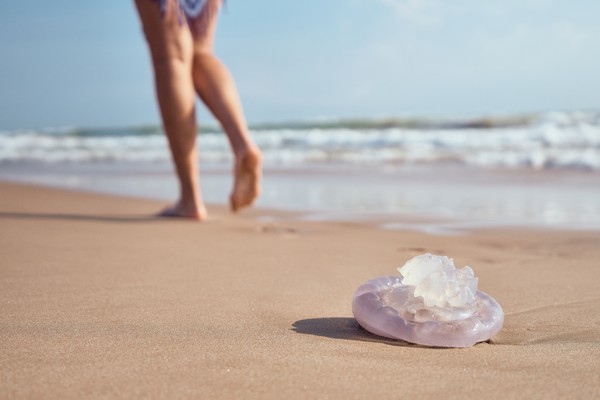 Medusa varada en la arena a orillas del mar con mujer caminando de fondo.