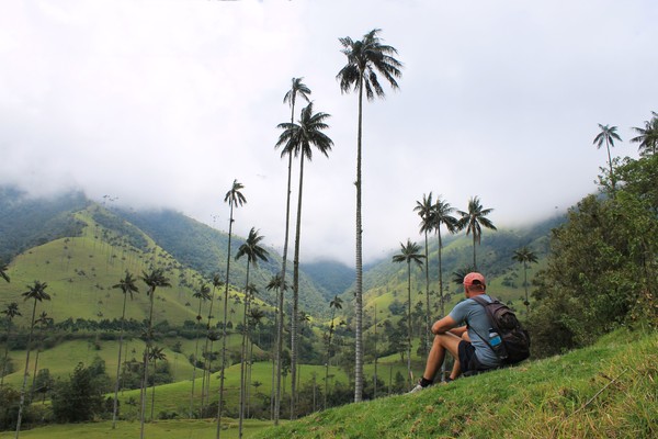 Turista sentado en el césped mirando las palmeras de cera del Valle del Cocora, Colombia, en un día con niebla.