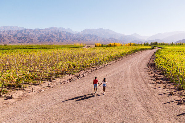 Pareja de espaldas, tomada de la mano, caminando por un sendero rural en Mendoza, Argentina; rodeados de viñedos verdes y montañas al fondo.