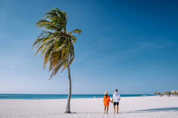 Pareja de turistas junto a una palmera de espaldas a la cámara en una playa tranquila en Aruba.