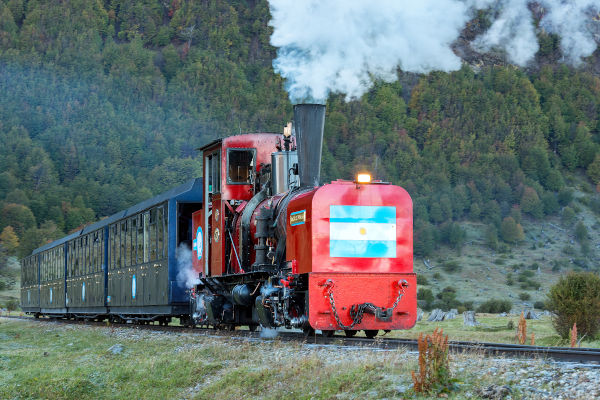 Vista panorámica desde el Tren del Fin del Mundo, rodeado de bosques patagónicos en Ushuaia, Argentina.