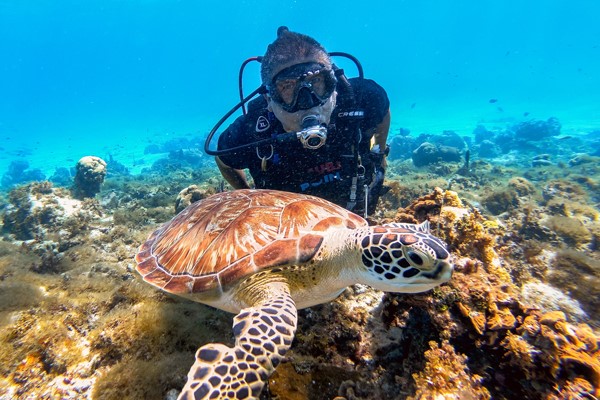 Buceo en San Andrés, Colombia