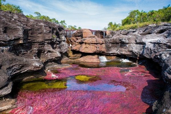 Vista del río Caño Cristales, Colombia