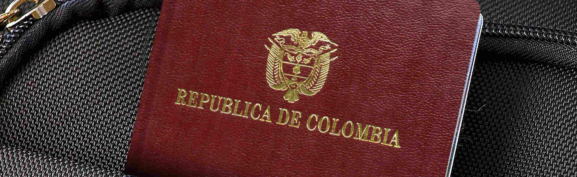Contenido relacionado