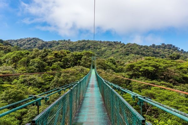 Puente colgante en el Bosque Nuboso de Monteverde, una de las cosas que hacer en Costa Rica