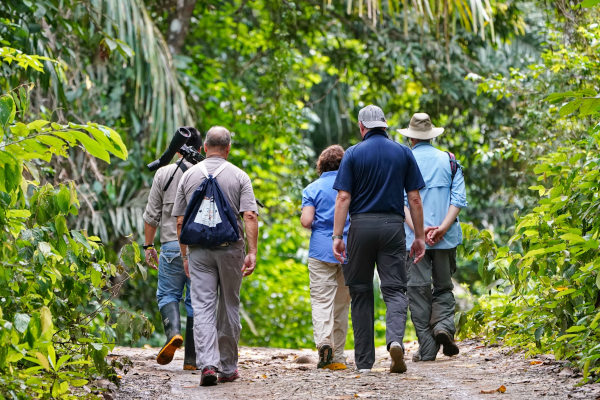 Grupo de senderistas en los bosques verdes de Gamboa, Panamá
