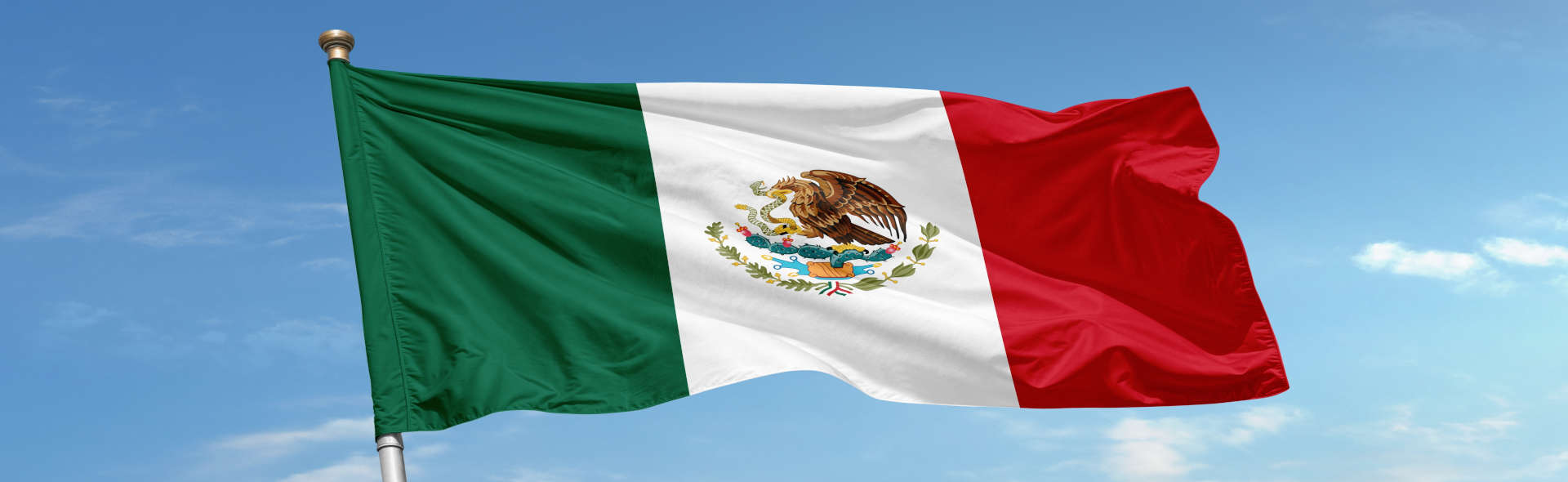 Contenido relacionado