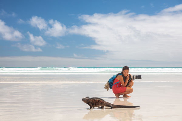 Turista con cámara en Tortuga Bay, Isla Santa Cruz, Galápagos, junto a una iguana caminando.