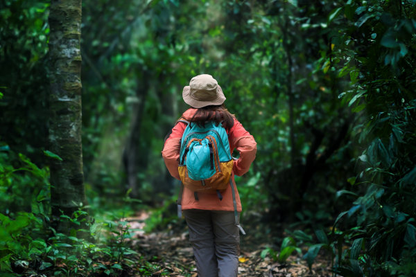 Turista con sombrero y mochila recorriendo sendero lleno de hojas rodeado de vegetación en la selva amazónica.