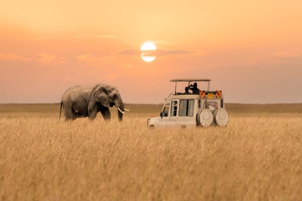 Viajar a África desde Colombia